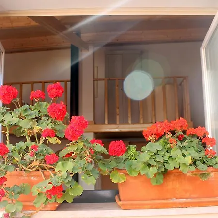 Bairro Alto House, By Timecooler アパート