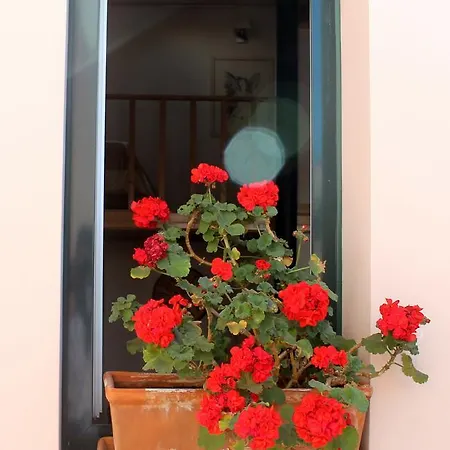 Bairro Alto House, By Timecooler * Lisboa